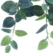 Artificial Fittonia Hanging Garland Bush 80cm V637-DP1016154