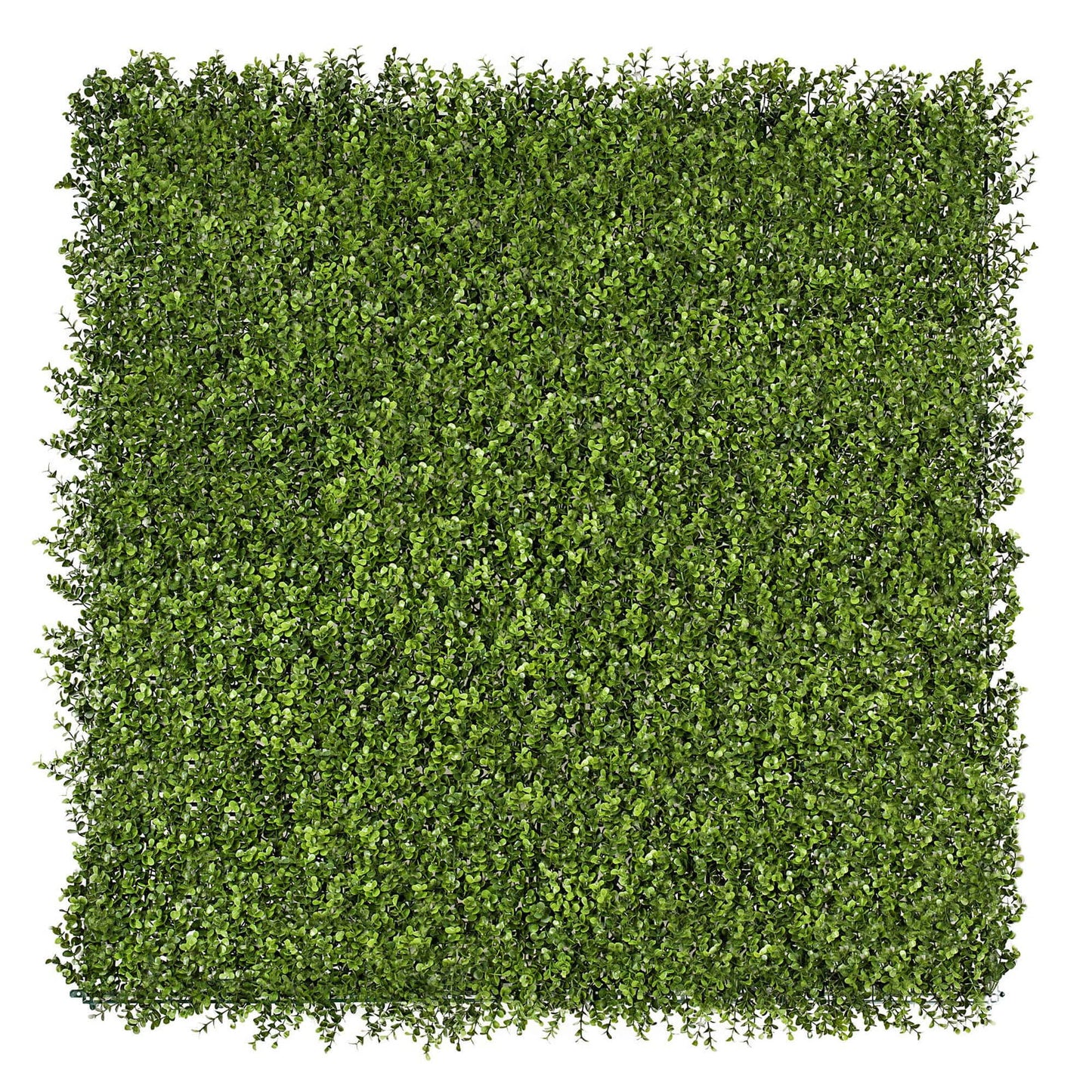 Premium Natural Buxus Hedge Panels UV Resistant 1m X 1m V637-DP1016346