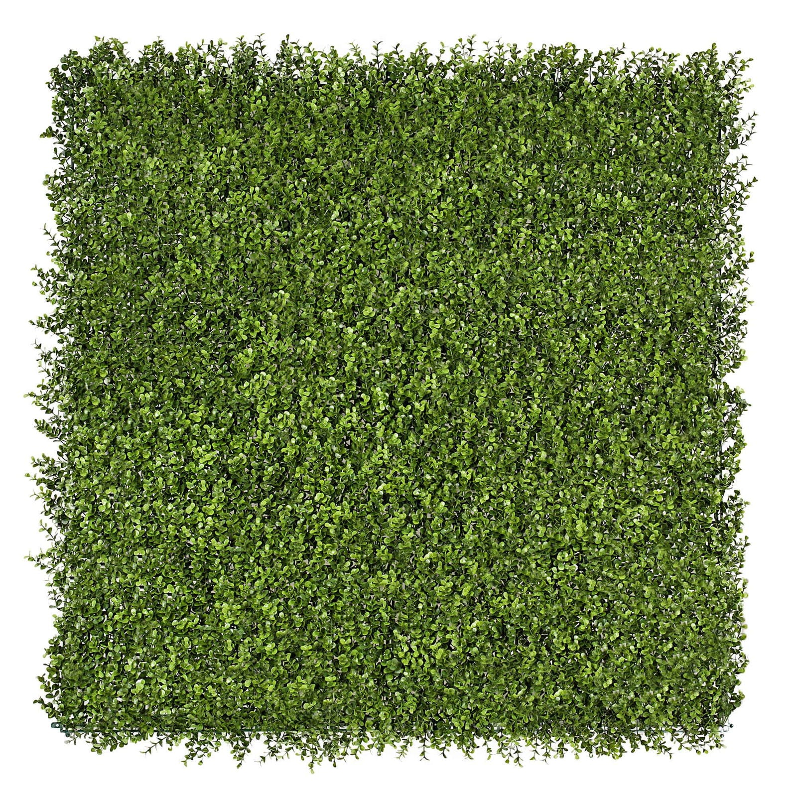 Premium Natural Buxus Hedge Panels UV Resistant 1m X 1m V637-DP1016346