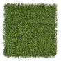 Premium Natural Buxus Hedge Panels UV Resistant 1m X 1m V637-DP1016346