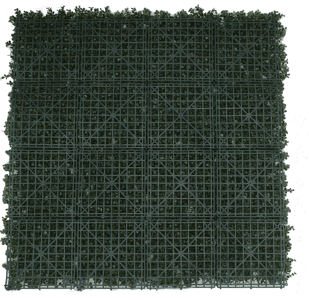 Premium Natural Buxus Hedge Panels UV Resistant 1m X 1m V637-DP1016346