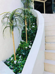 White Flowering Jasmine Stem UV Resistant 30cm V637-DP1016381
