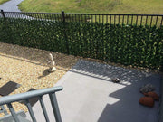 Double Sided Ivy Rolls 3m X 1m V637-DP1016477