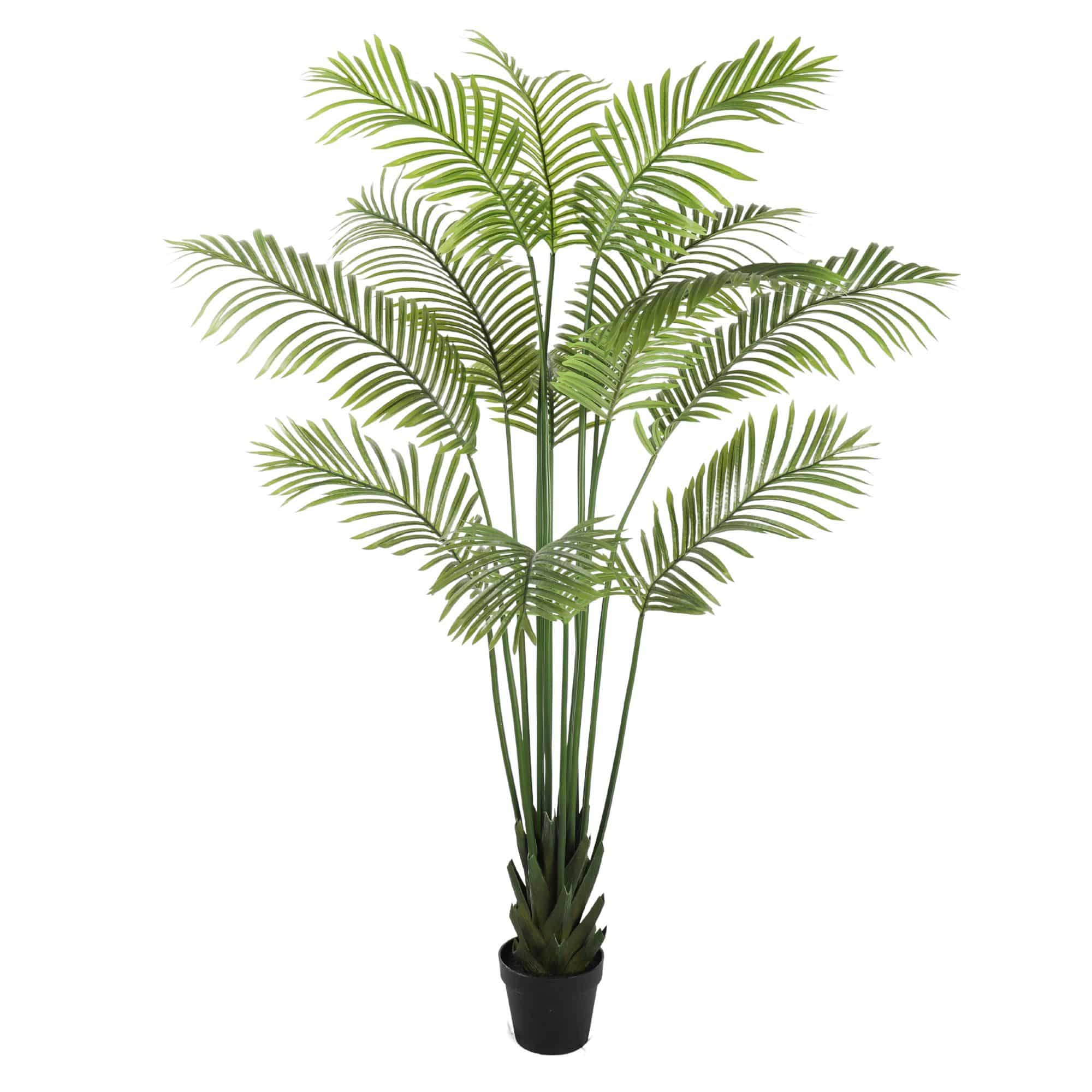 Artificial Multi Stem Hawaii Palm 190cm V637-DP1016779