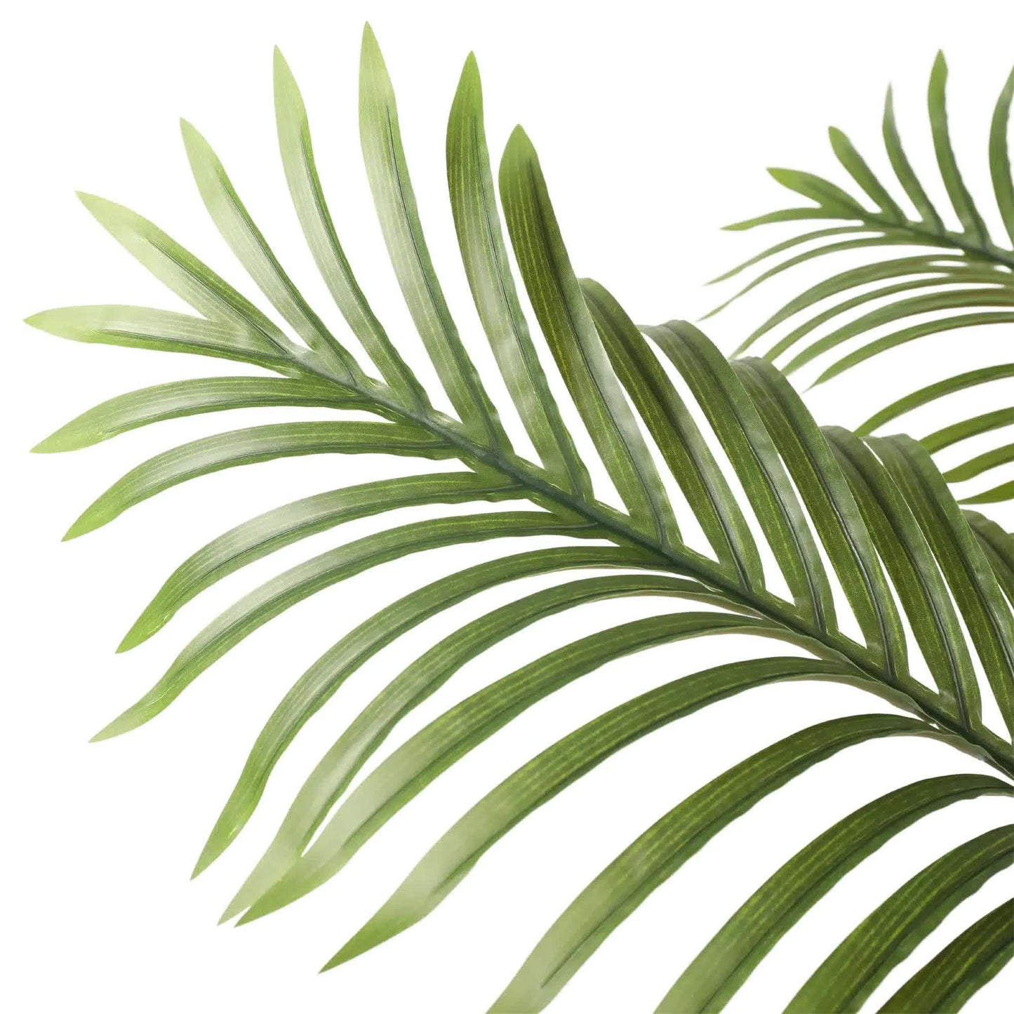 Artificial Multi Stem Hawaii Palm 190cm V637-DP1016779
