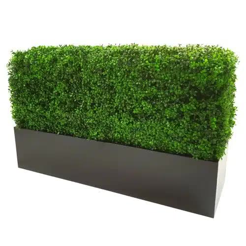 Luxury Deluxe Portable Buxus (Bright) UV Resistant 100cm Long x 50cm High x 25cm Wide V637-DP1017404