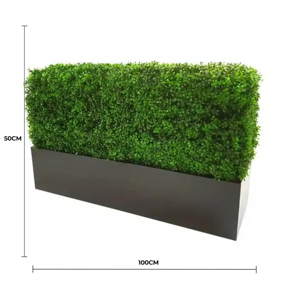 Luxury Deluxe Portable Buxus (Bright) UV Resistant 100cm Long x 50cm High x 25cm Wide V637-DP1017404