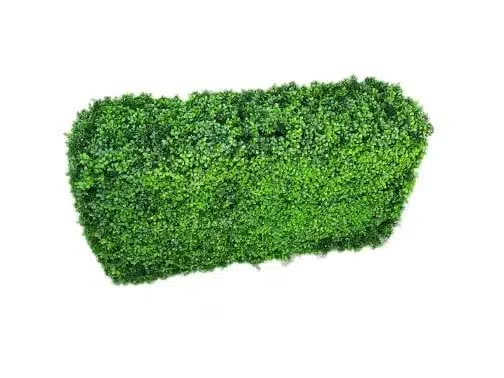 Luxury Deluxe Portable Buxus (Bright) UV Resistant 100cm Long x 50cm High x 25cm Wide V637-DP1017404