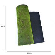 Artificial Moss Wall Covering 200cm x 50cm V637-DP1017561