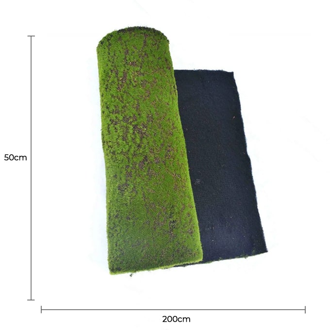 Artificial Moss Wall Covering 200cm x 50cm V637-DP1017561