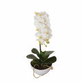 46cm Butterfly Artificial Orchid White V637-DP1017577