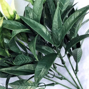 White Tipped Willow Oak Stem UV Resistant 30cm V637-DP1018067