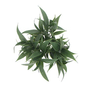 Dark Green Tipped Willow Oak Stem UV Resistant 30cm V637-DP1018073