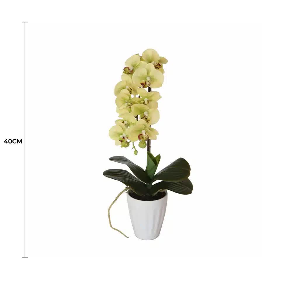 40cm Butterfly Artificial Orchid Cream V637-DP1018501