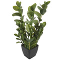 72cm Potted Multi Stem Zanzibar V637-DP1018506