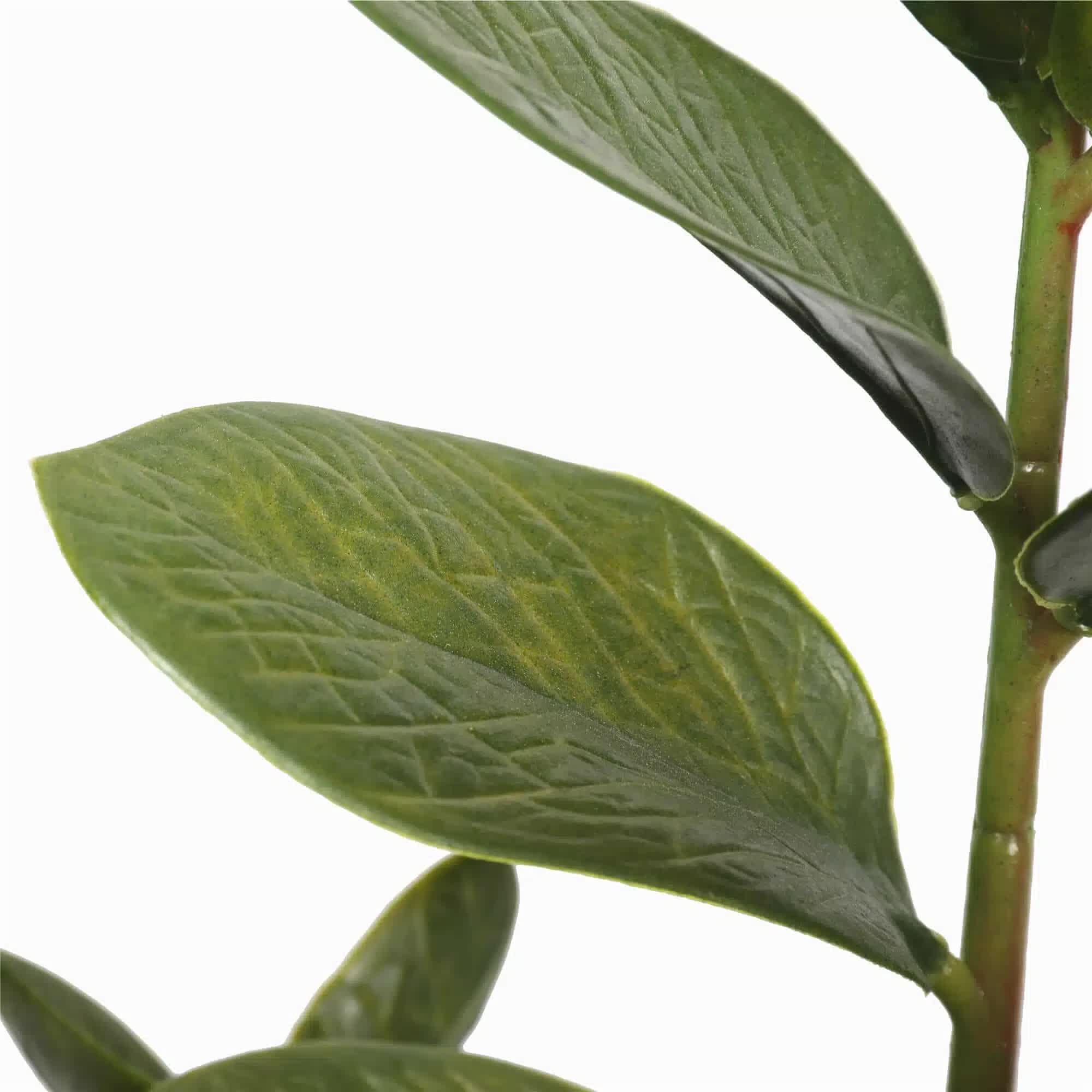 72cm Potted Multi Stem Zanzibar V637-DP1018506