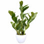 60cm Artificial Potted Zanzibar V637-DP1018508