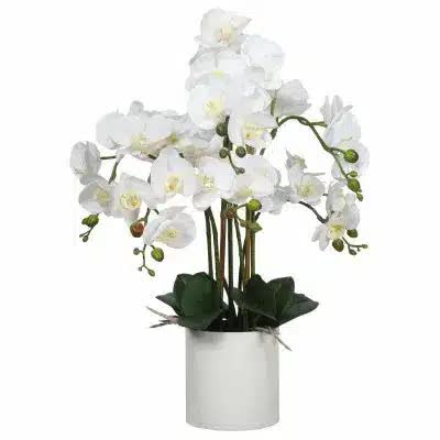 Large Multi-Stem White Potted Faux Orchid 65cm V637-DP1018513