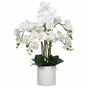 Large Multi-Stem White Potted Faux Orchid 65cm V637-DP1018513