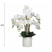 Large Multi-Stem White Potted Faux Orchid 65cm V637-DP1018513