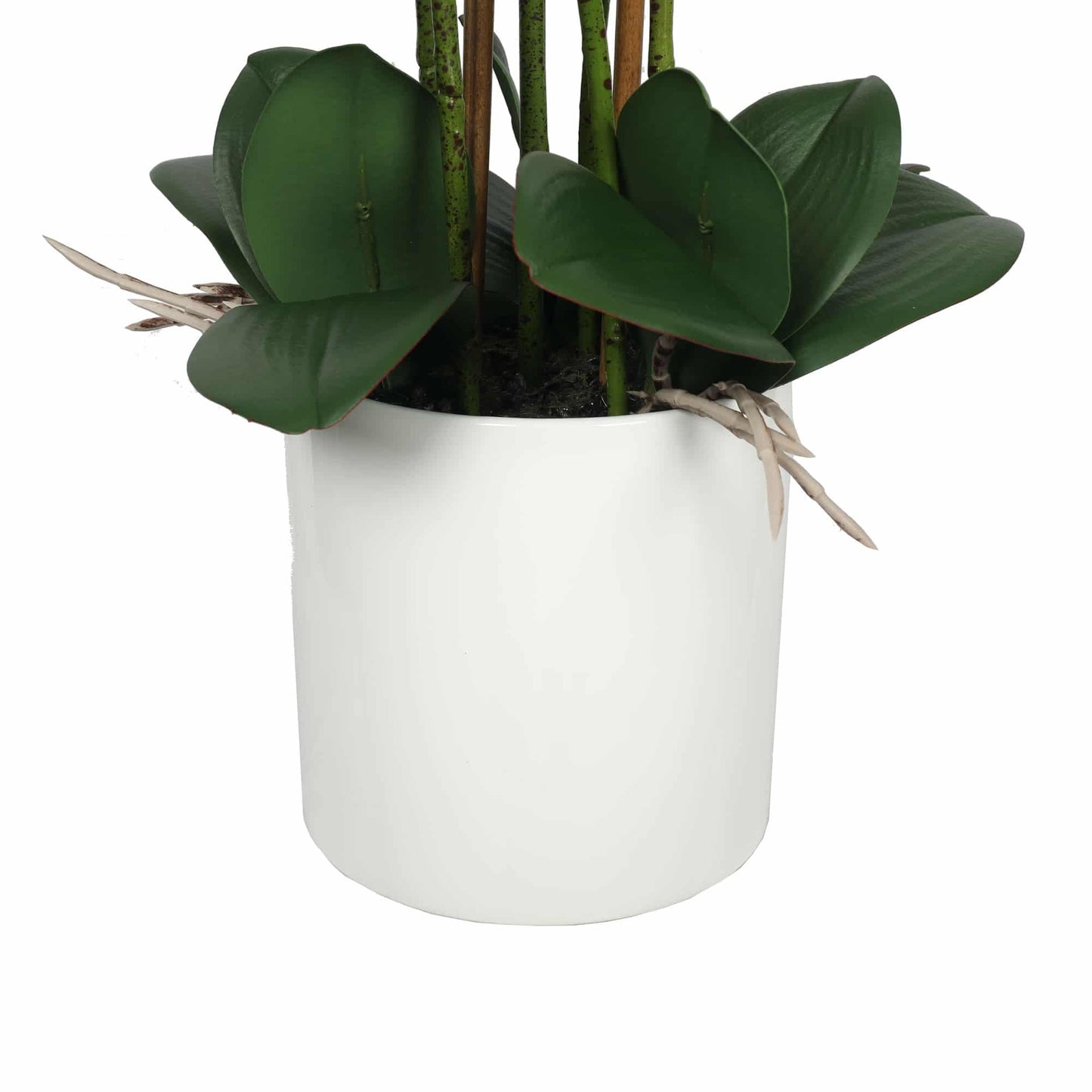 Large Multi-Stem White Potted Faux Orchid 65cm V637-DP1018513