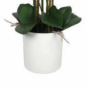 Large Multi-Stem White Potted Faux Orchid 65cm V637-DP1018513