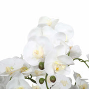 Large Multi-Stem White Potted Faux Orchid 65cm V637-DP1018513