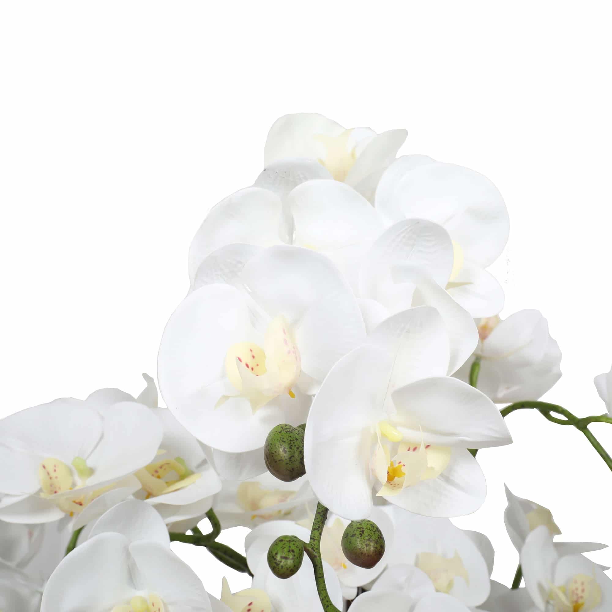 Large Multi-Stem White Potted Faux Orchid 65cm V637-DP1018513