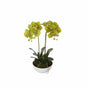 Two Stem Butterfly Artificial Orchid Cream 50cm V637-DP1018514