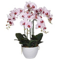 66cm Multi Stem Butterfly Artificial Potted Orchid With Pink Flowers V637-DP1018518