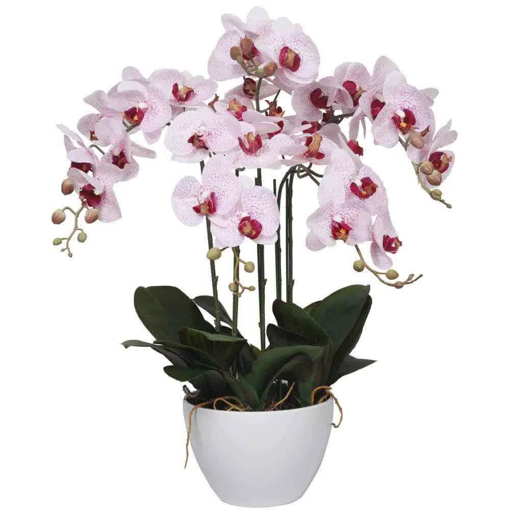 66cm Multi Stem Butterfly Artificial Potted Orchid With Pink Flowers V637-DP1018518
