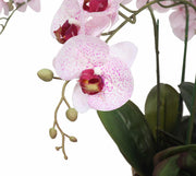 66cm Multi Stem Butterfly Artificial Potted Orchid With Pink Flowers V637-DP1018518