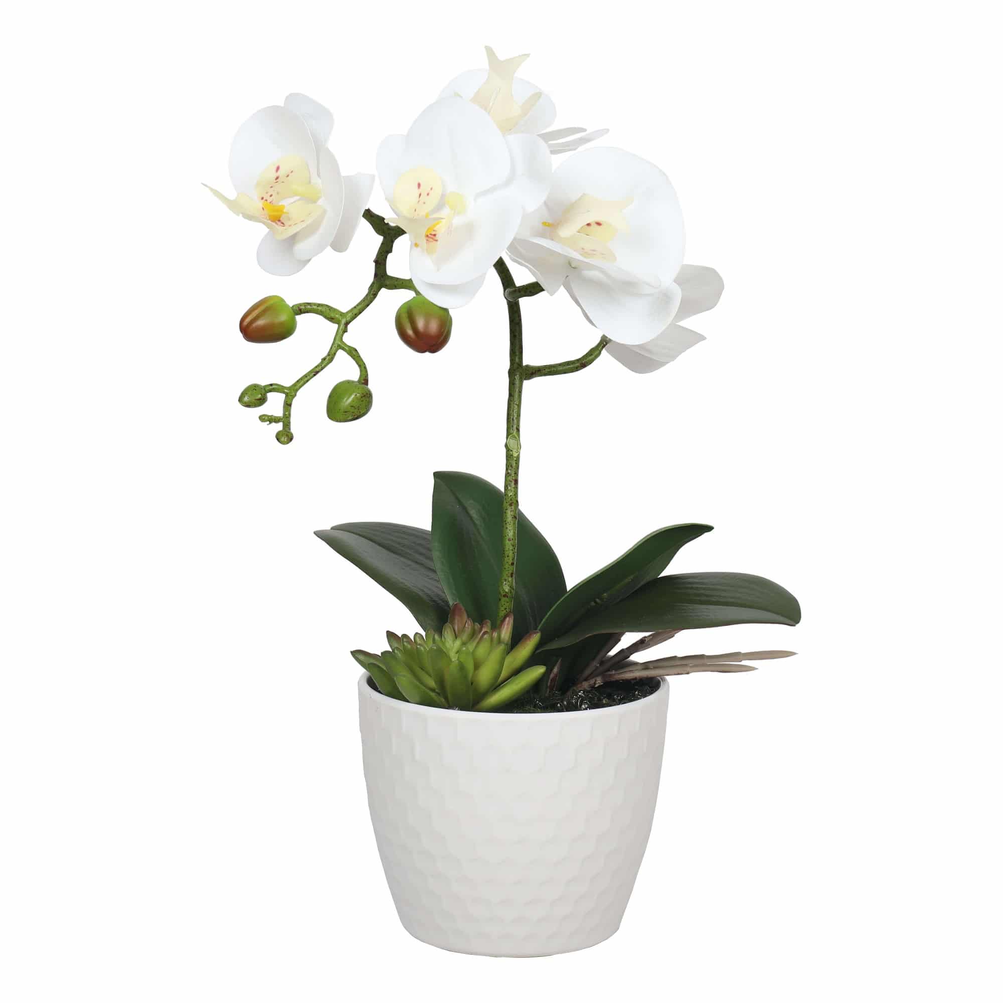 Potted Single Stem White Phalaenopsis Orchid with Decorative Pot 35cm V637-DP1018519