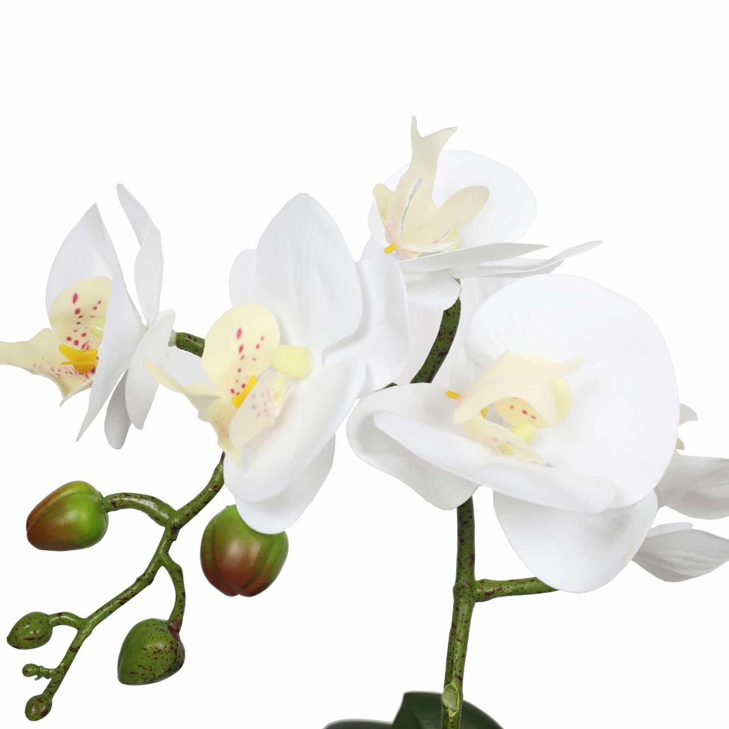 Potted Single Stem White Phalaenopsis Orchid with Decorative Pot 35cm V637-DP1018519