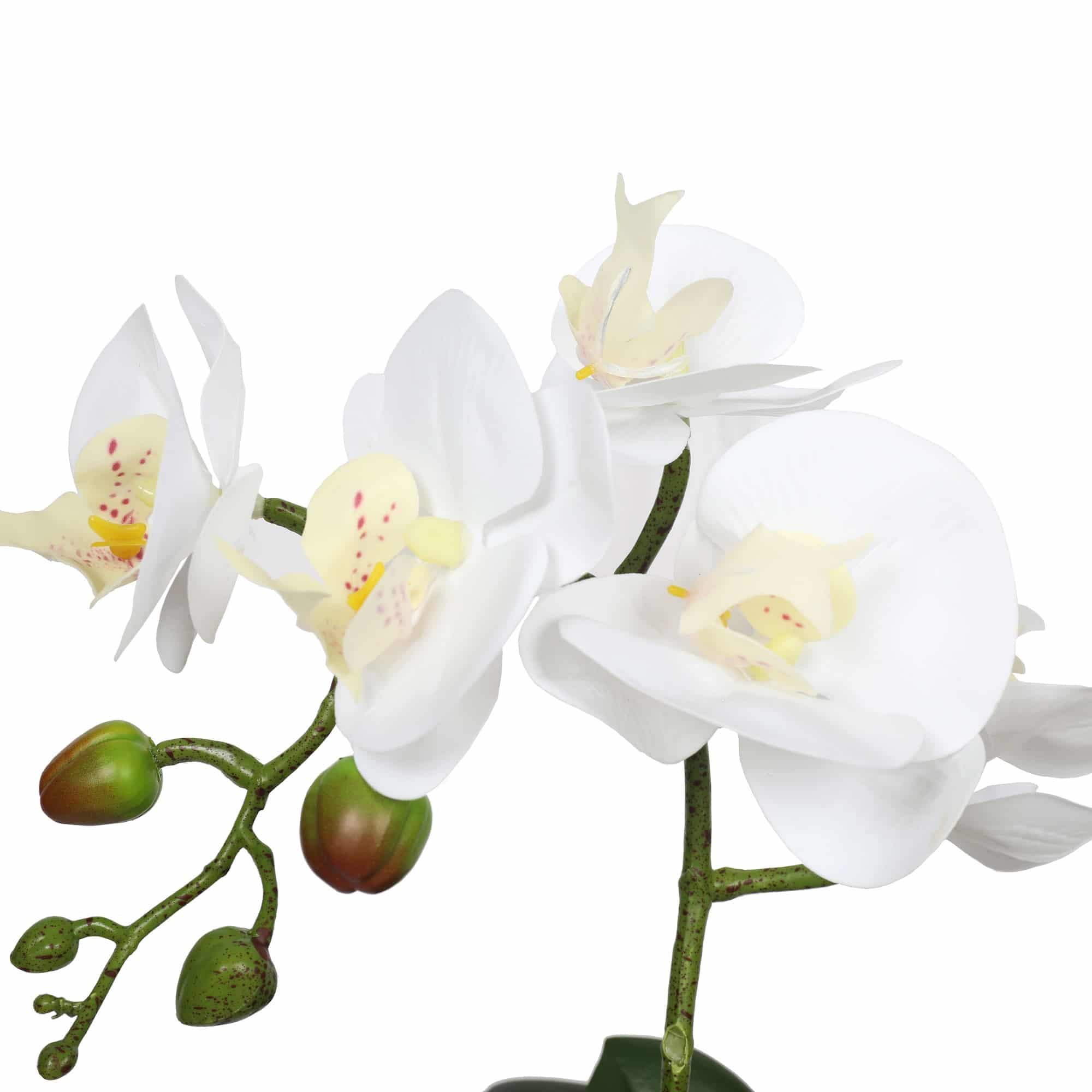 Potted Single Stem White Phalaenopsis Orchid with Decorative Pot 35cm V637-DP1018519