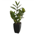 Potted Zanzibar 46cm V637-DP1018542