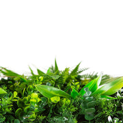 Wild Tropics Vertical Garden / Green Wall UV Resistant 100cm X 100cm V637-DP1019775