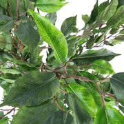 Artificial Potted Ficus Tree 160cm V637-DP1020539