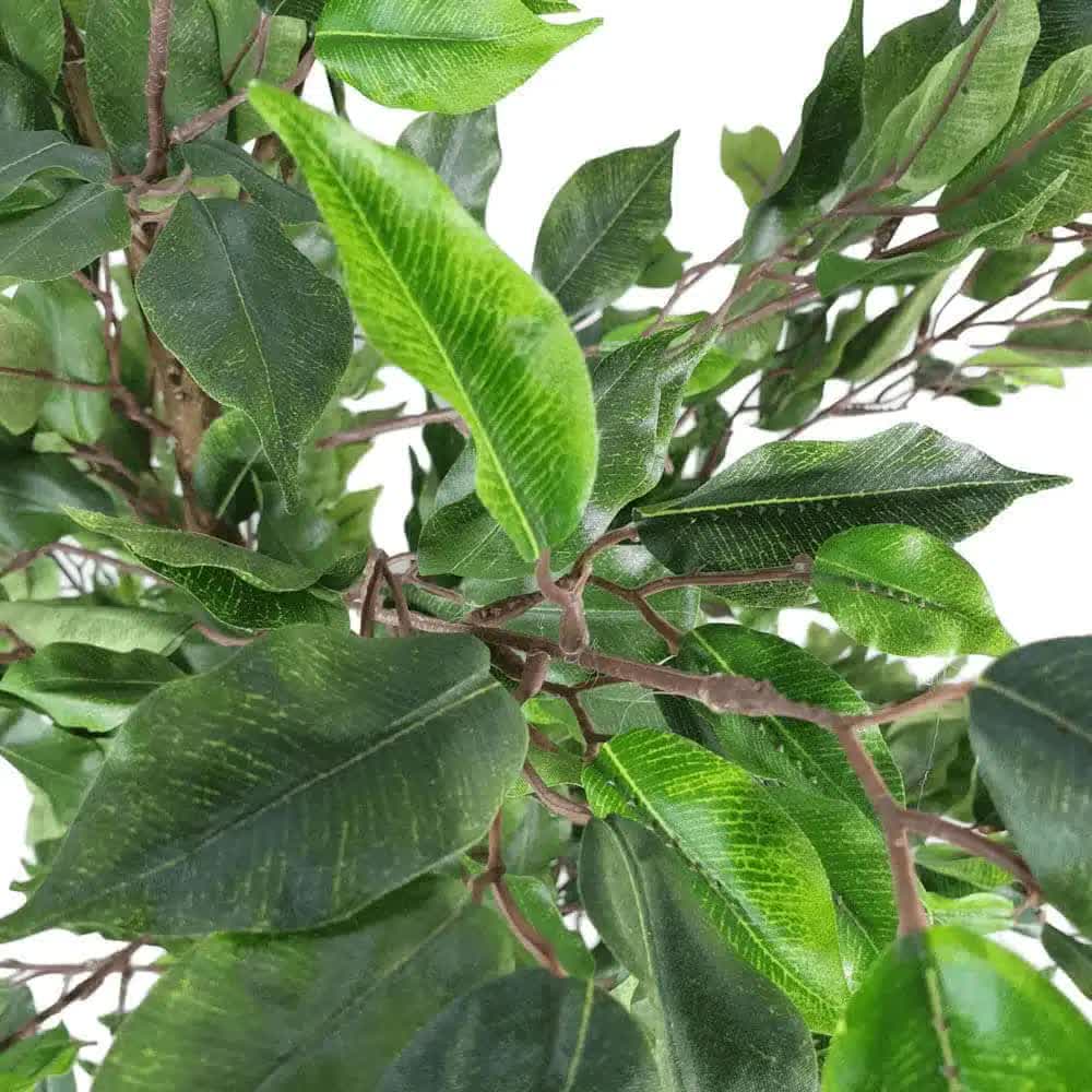 Artificial Potted Ficus Tree 160cm V637-DP1020539
