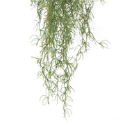 Artificial Air Plant Spanish Moss UV Resistant 100cm V637-DP1020999