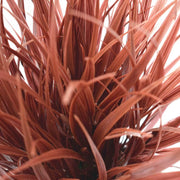 Artificial Ornamental Potted Dense Burgundy Grass UV Resistant 38cm V637-DP1043014