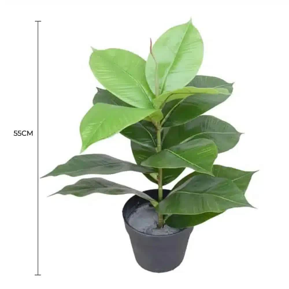 Artificial Potted Rubber Plant 55cm V637-DP1043058