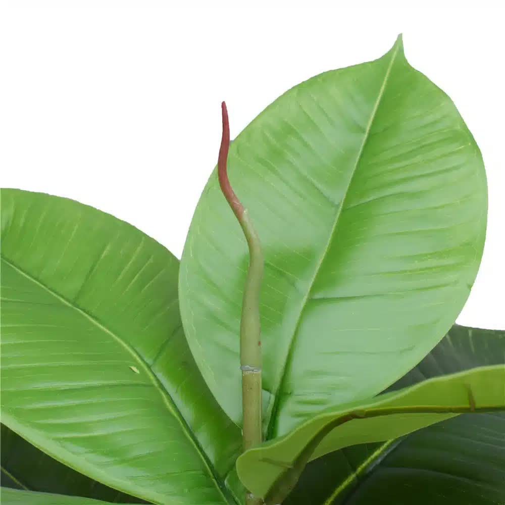 Artificial Potted Rubber Plant 55cm V637-DP1043058