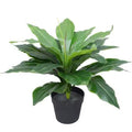 Artificial Potted Wide Leaf Birds Nest Fern 50cm V637-DP1043066