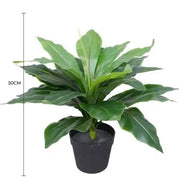 Artificial Potted Wide Leaf Birds Nest Fern 50cm V637-DP1043066