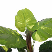 Artificial Potted Pothos Plant with Pole 100cm V637-DP1043068