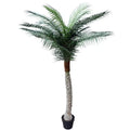 Tropical Phoenix Artificial Potted Palm Tree 190cm UV Resistant V637-DP1043082