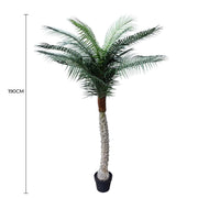 Tropical Phoenix Artificial Potted Palm Tree 190cm UV Resistant V637-DP1043082
