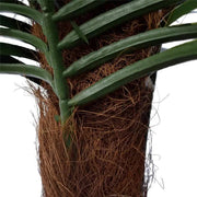 Tropical Phoenix Artificial Potted Palm Tree 190cm UV Resistant V637-DP1043082