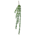 Hanging Succulent String Of Pearl Beads 75cm V637-DP1053454